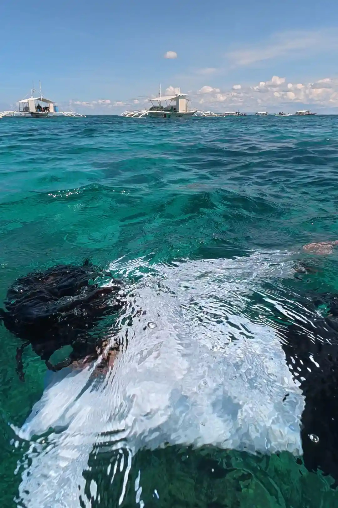 Nelmar Atanoza and several white bangkas anchored at the Balicasag Island snorkeling zone in Bohol with snorkelers in the turquoise water between them