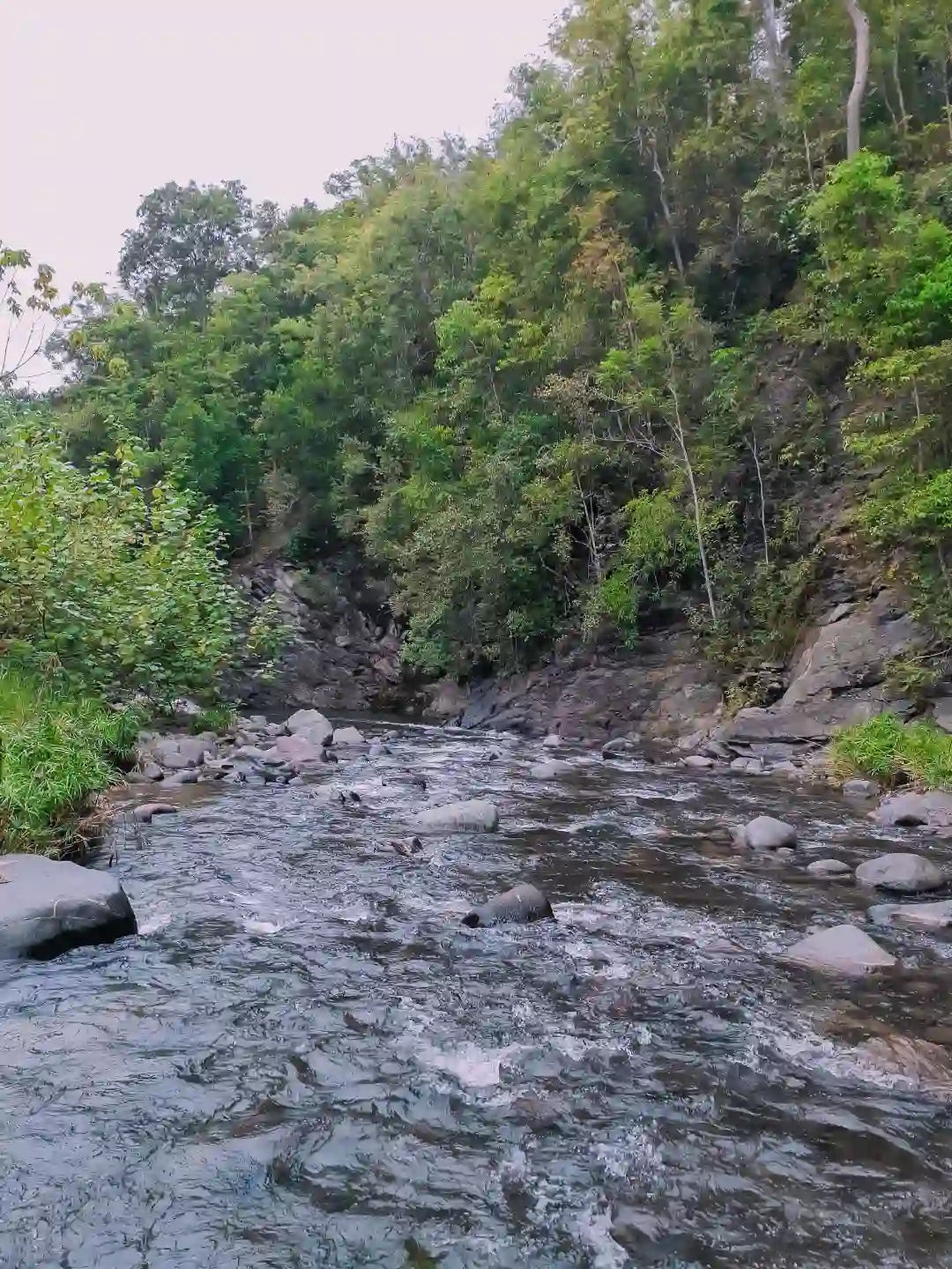 River water spilling over flat dark rock in a double cascade surrounded by dense green forest in Barangay Maputi San Isidro Davao Oriental
