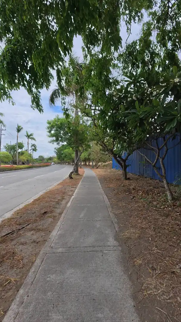 Tree covered sidewalk jogging path beside a blue perimeter fence in Southwoods City Alabang