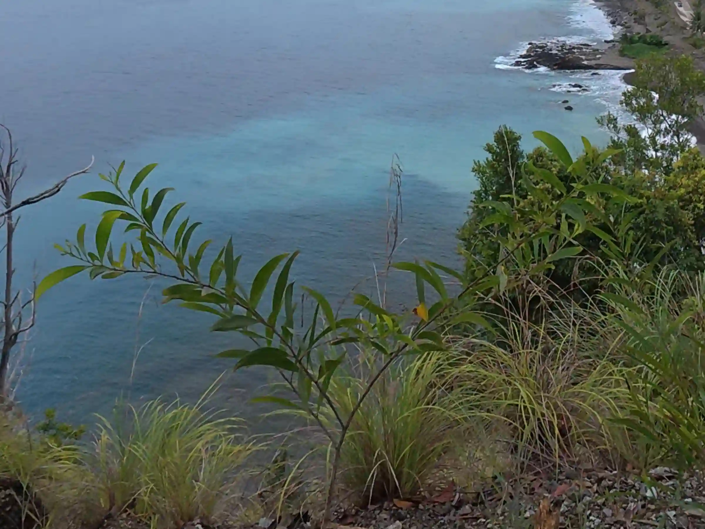Turquoise Pacific coastline viewed from the Lanca Cabuaya Road cliffside overlooking point in Mati Davao Oriental with rocky shore and green mountains