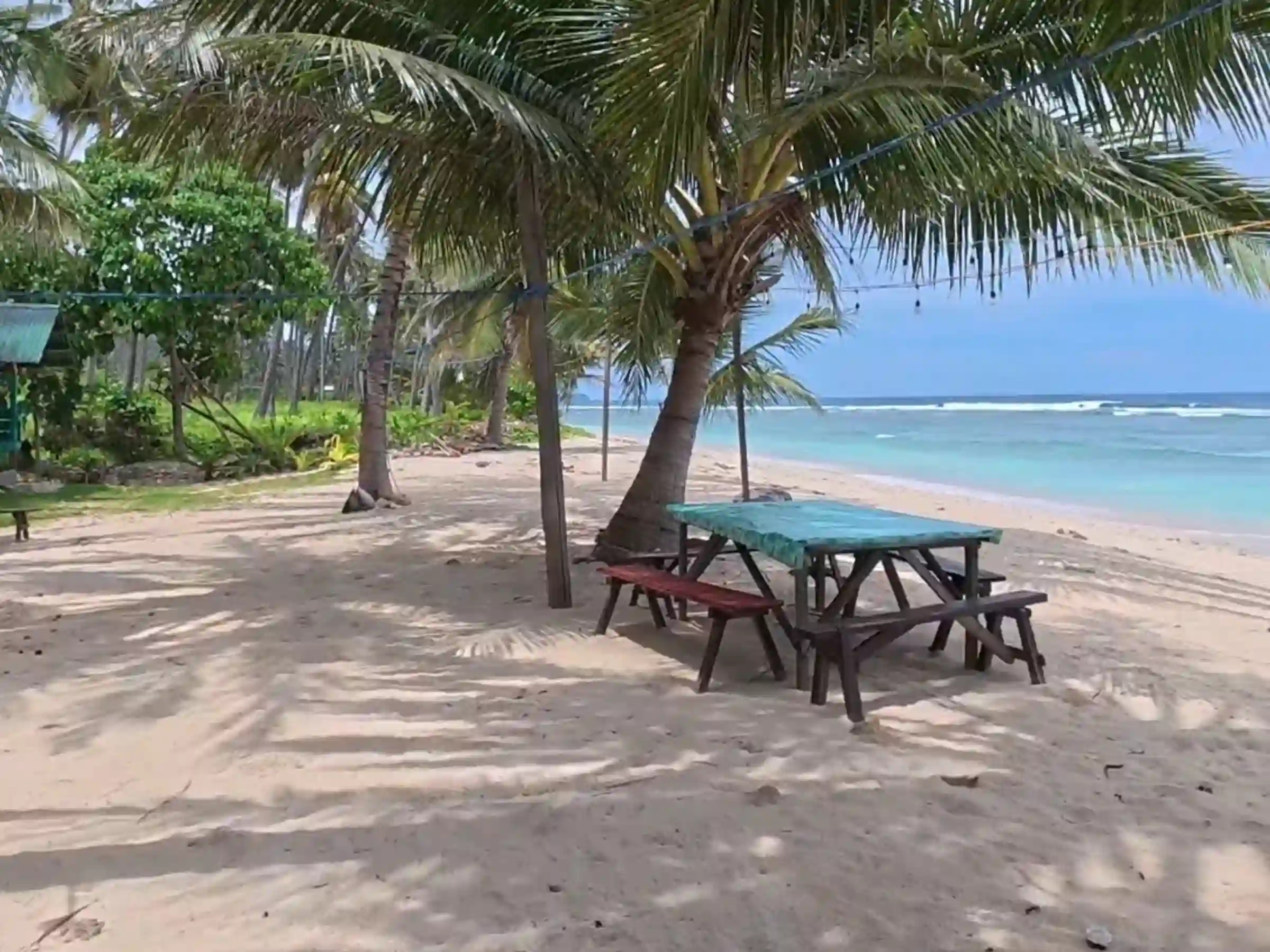 Picnic tables with a painted green top set on pale sand beneath leaning coconut palms at Lanca Shoreline Camping Site in Mati Davao Oriental