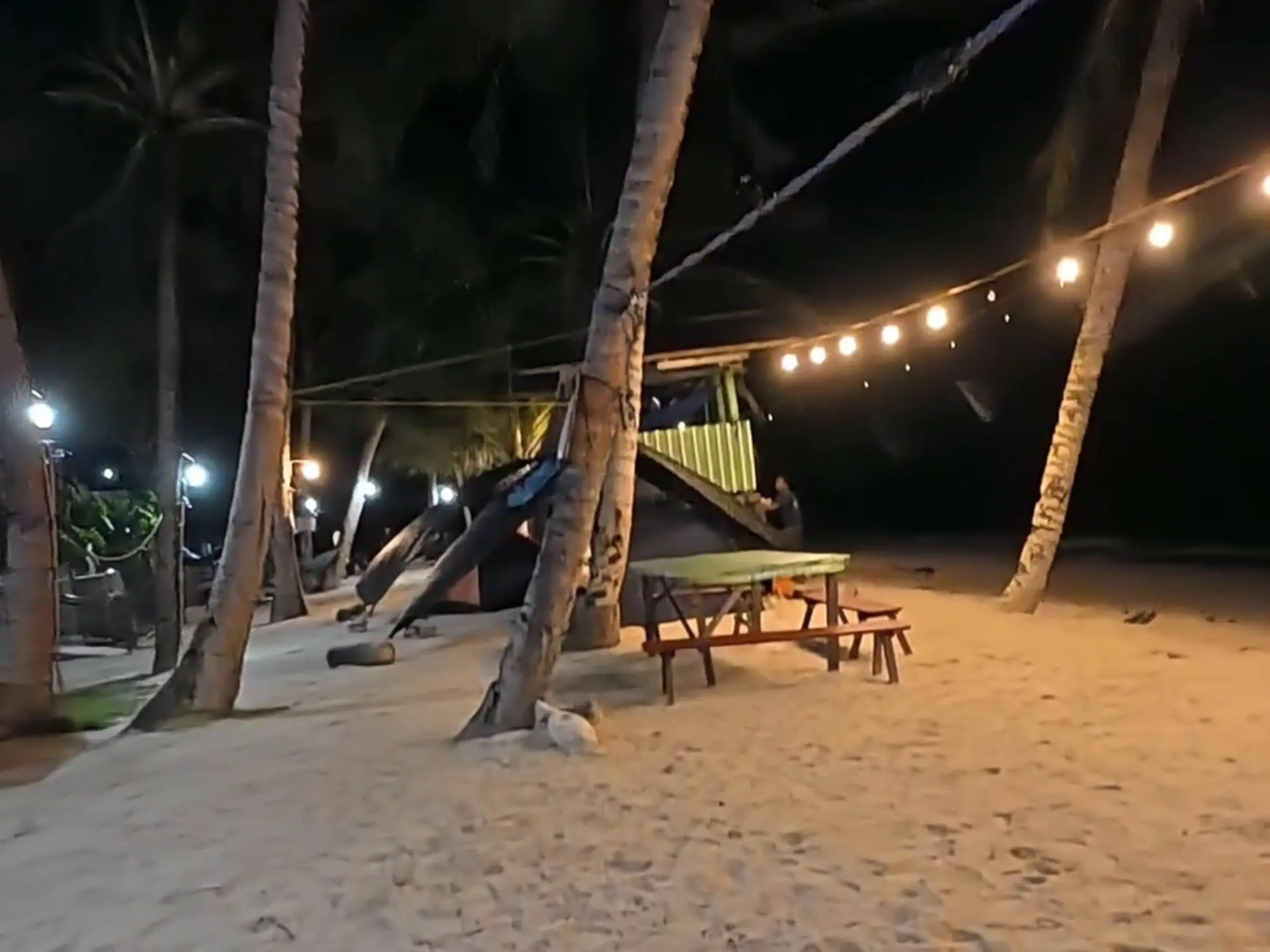 String lights strung between coconut palm trunks at night at Lanca Shoreline Camping Site in Mati with a bamboo structure and picnic tables on the sand