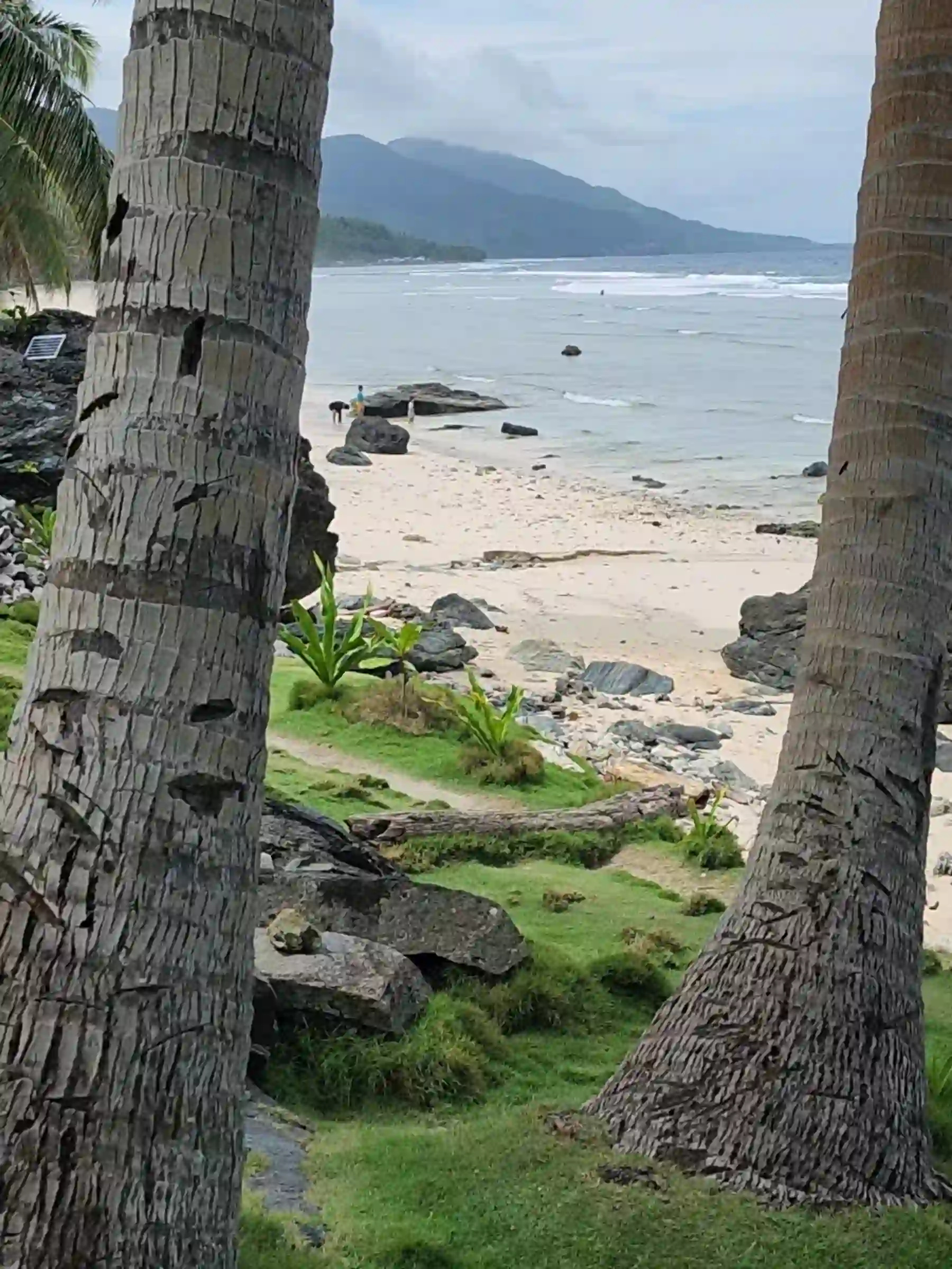 Turquoise ocean and creamy orange sand framed between two coconut tree trunks with black rocks and bermuda grass at Payag ni Jose beach in Lanca Mati Davao Oriental