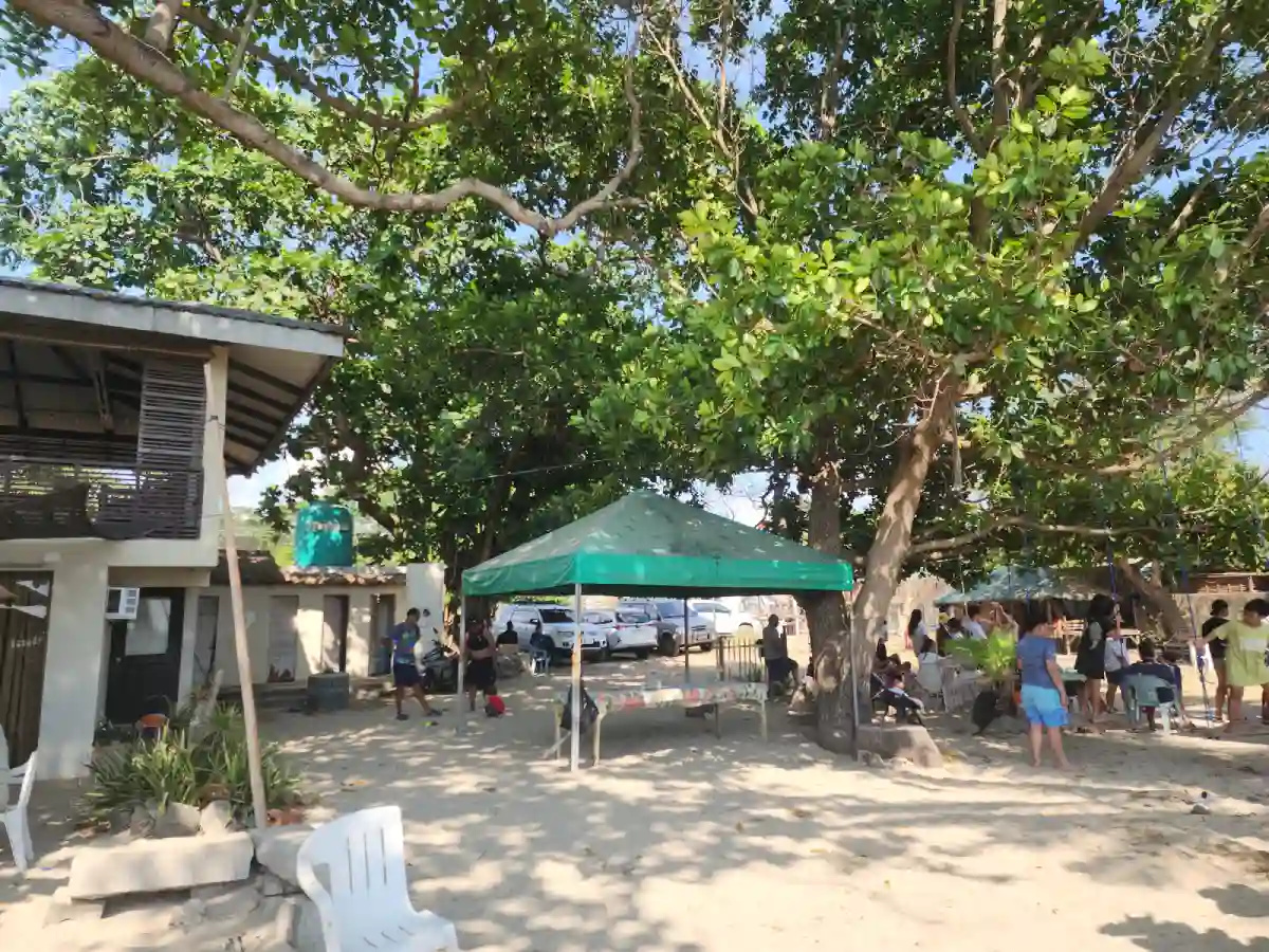 Open air accommodation shade area with tables and large trees at Alfresco Beach Resort in Matabungkay Lian Batangas