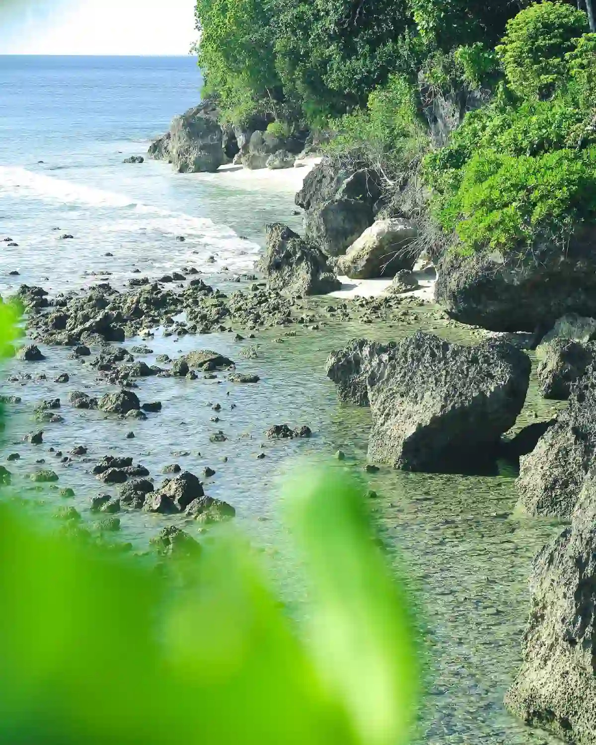 Rocky low tide shoreline at Cape San Agustin in Governor Generoso Davao Oriental with large boulder formations lining a narrow strip of pale sand and dense green vegetation along the cliff edge above
