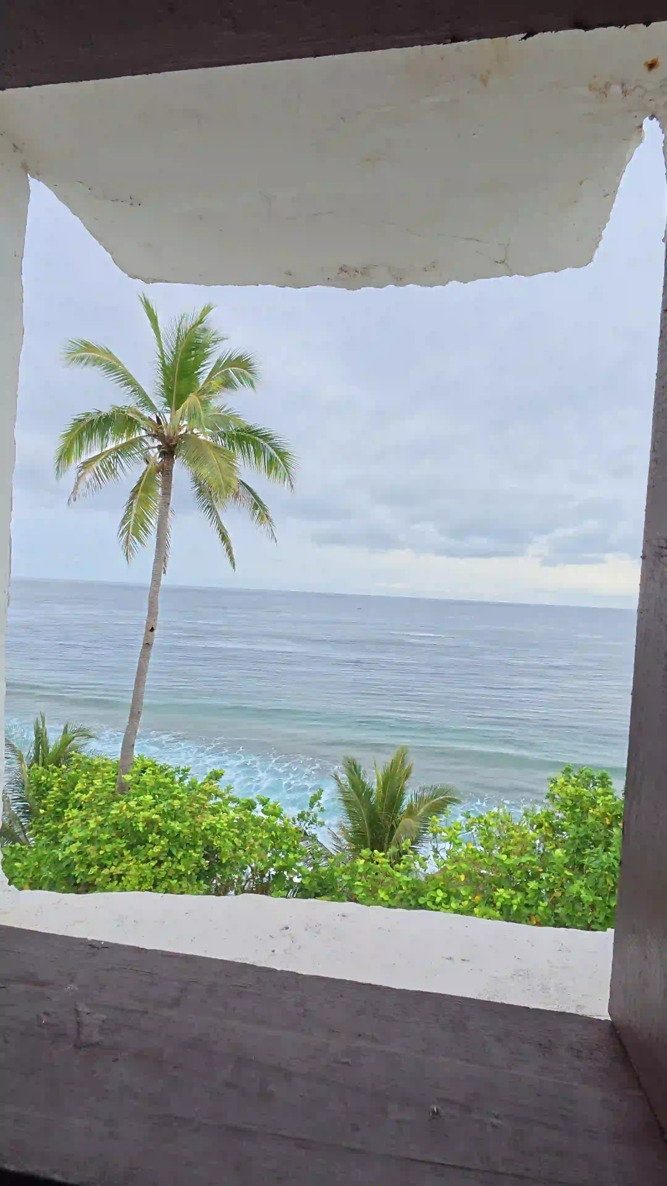 Overlooking view from the top of Cape San Agustin Parola lighthouse in Governor Generoso Davao Oriental showing green tree canopy palm trees and rocky shoreline under overcast skies with the Pacific Ocean beyond