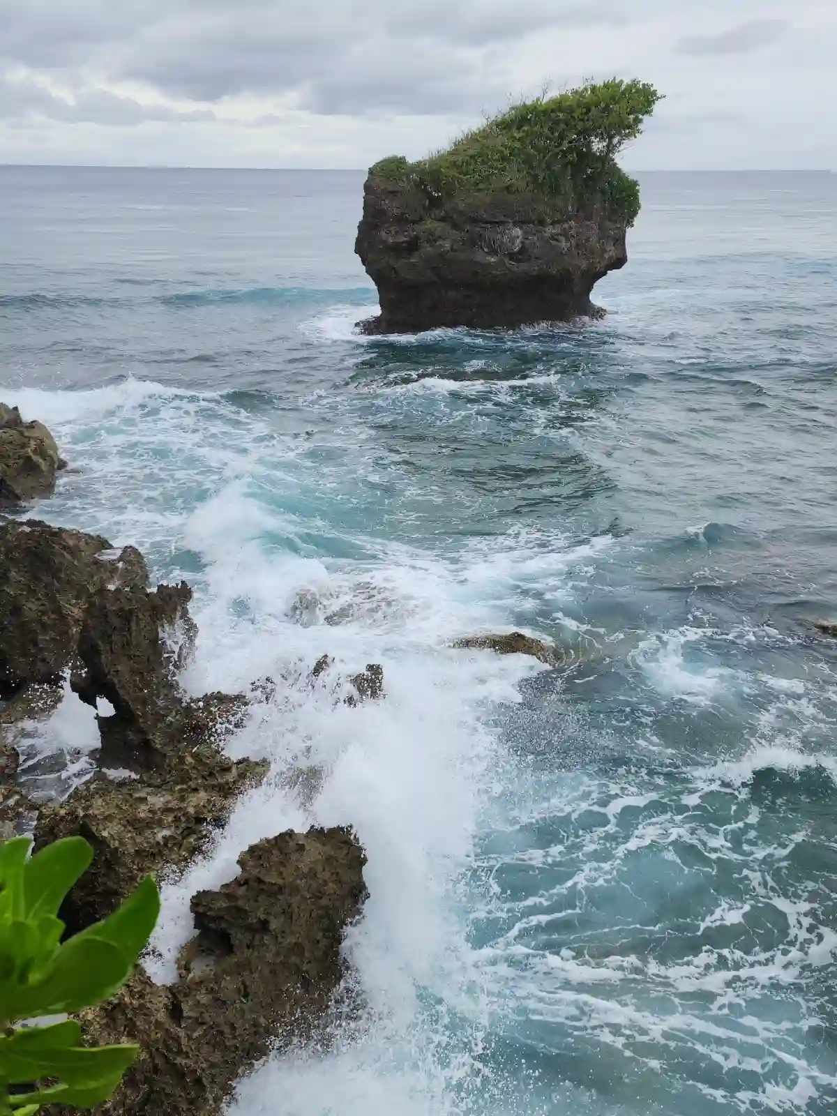 Tall dark offshore rock formation topped with vegetation at Cape San Agustin in Governor Generoso Davao Oriental with white waves breaking against jagged foreground rocks under an overcast sky