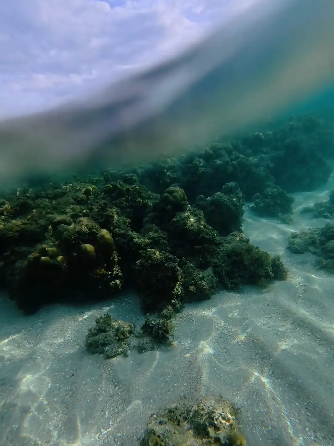 Split underwater and above water view showing live coral formations on sandy seafloor and cloudy sky above at Punta Abijod San Isidro Davao Oriental