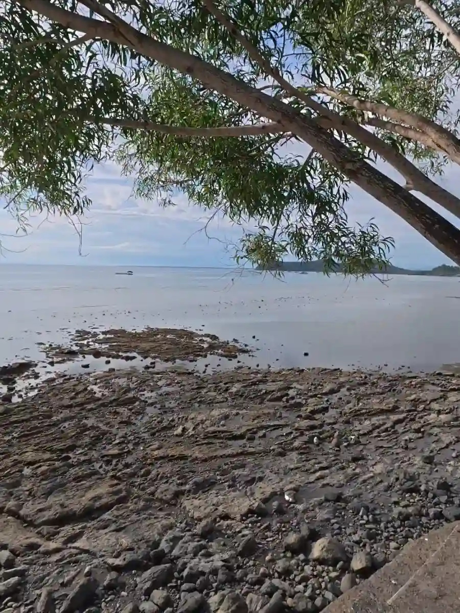 A leaning tree extending over a rocky shoreline at Punta Abijod in San Isidro Davao Oriental with the Bato-bato mountain visible across the calm water