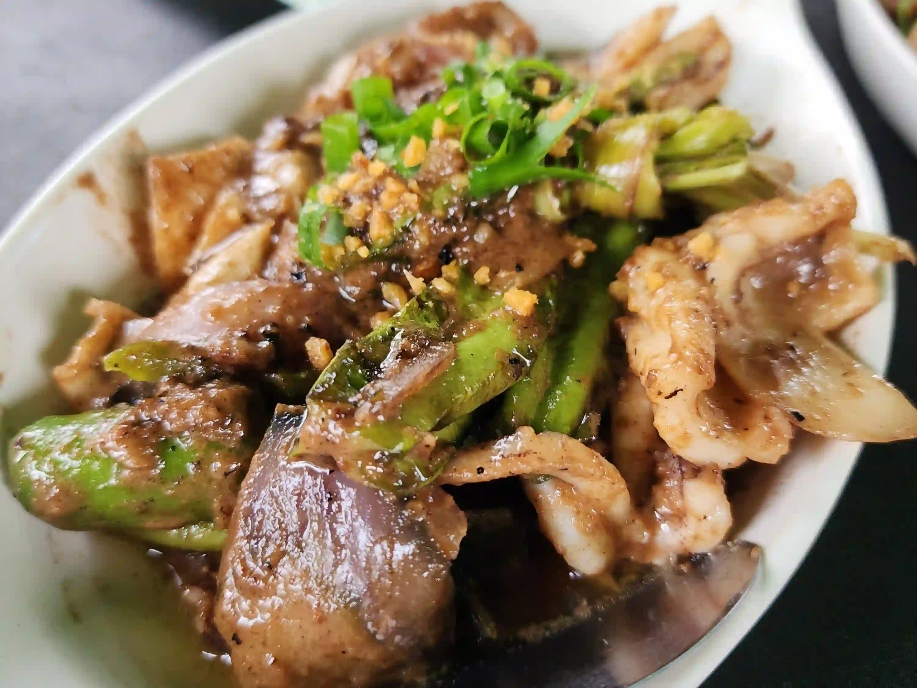 A bowl of pinakbet with squid and mixed vegetables topped with fried garlic and spring onion at a carinderia near Cagsawa Ruins in Daraga Albay
