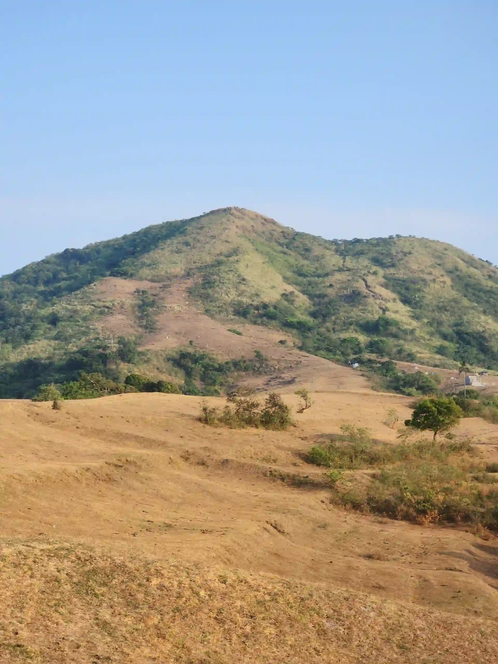 Wide view of golden brown dry grassland with rolling hills and scattered low trees leading toward the forested slopes of Mt. Talamitam under clear blue sky in Nasugbo Batangas