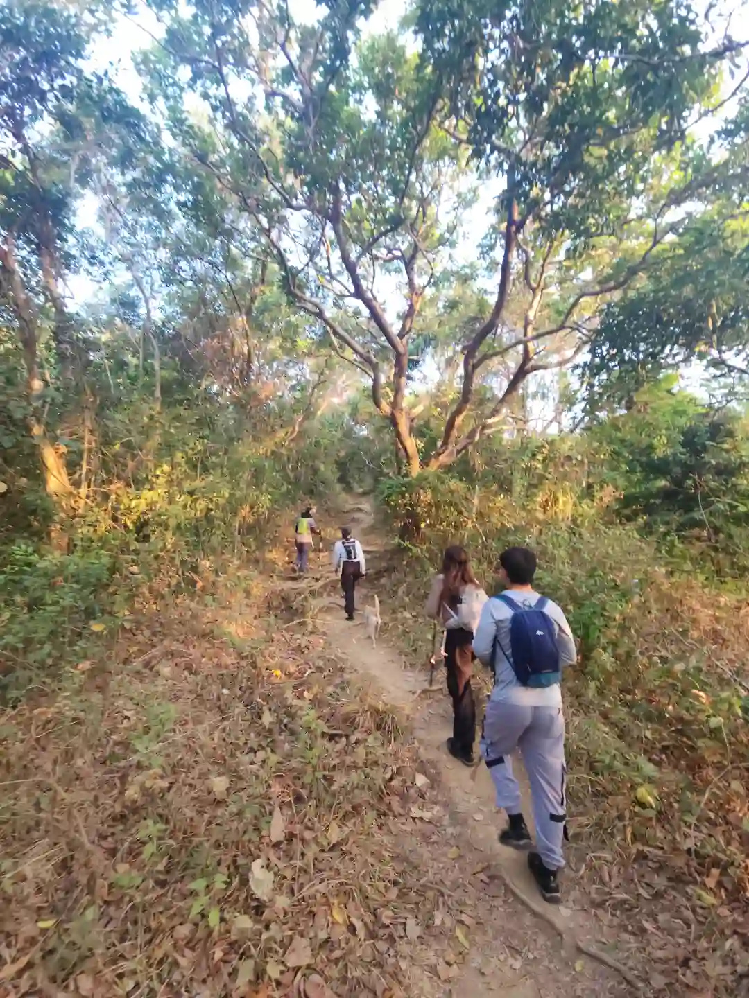 Four hikers and a dog walking single file along a narrow forested trail at the Mt. Talamitam jump-off in Sitio Bayabasan Nasugbo Batangas