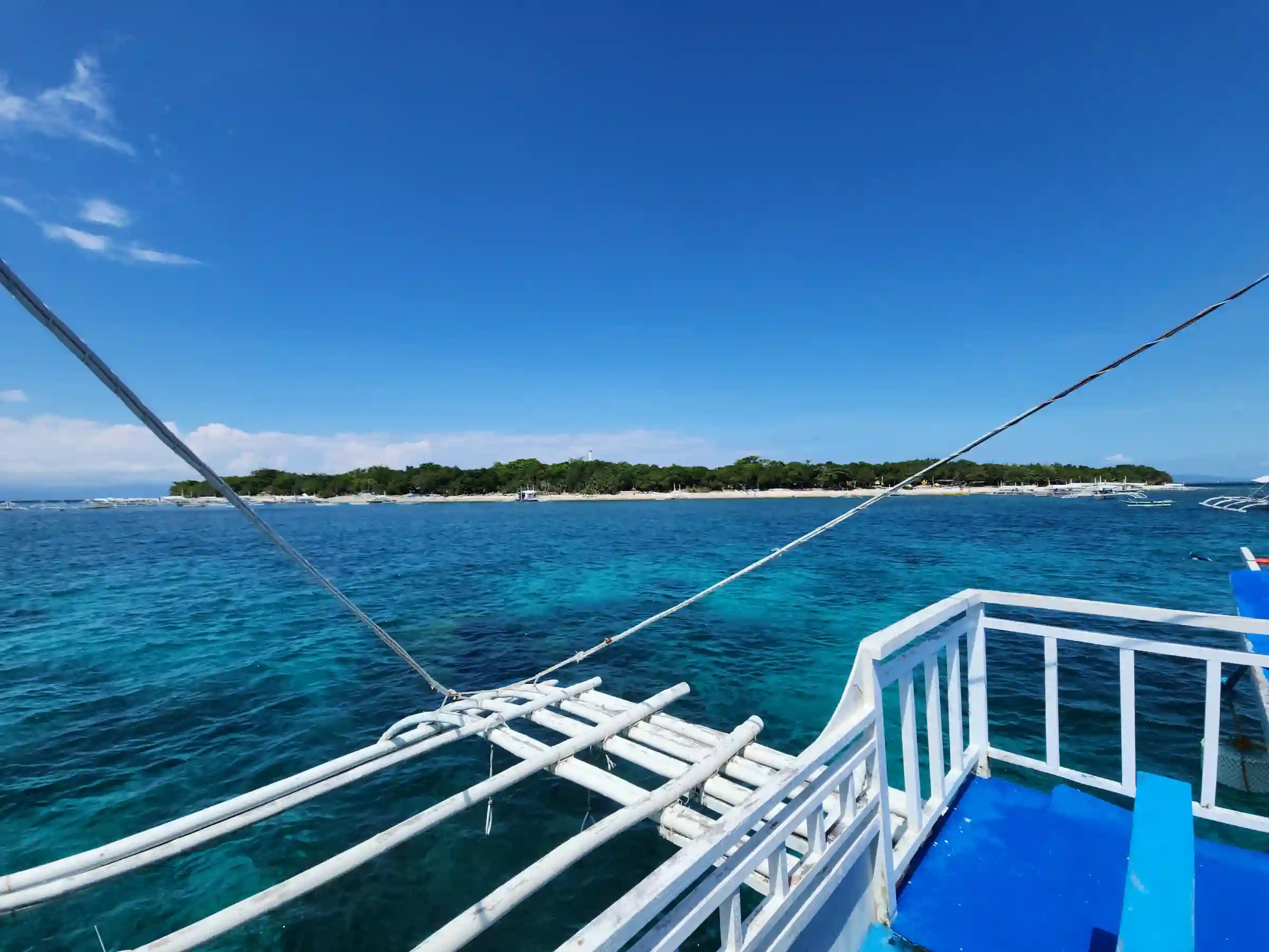 Balicasag Island shoreline with dense trees umbrellas and a row of moored bangkas viewed from the water in Bohol Province