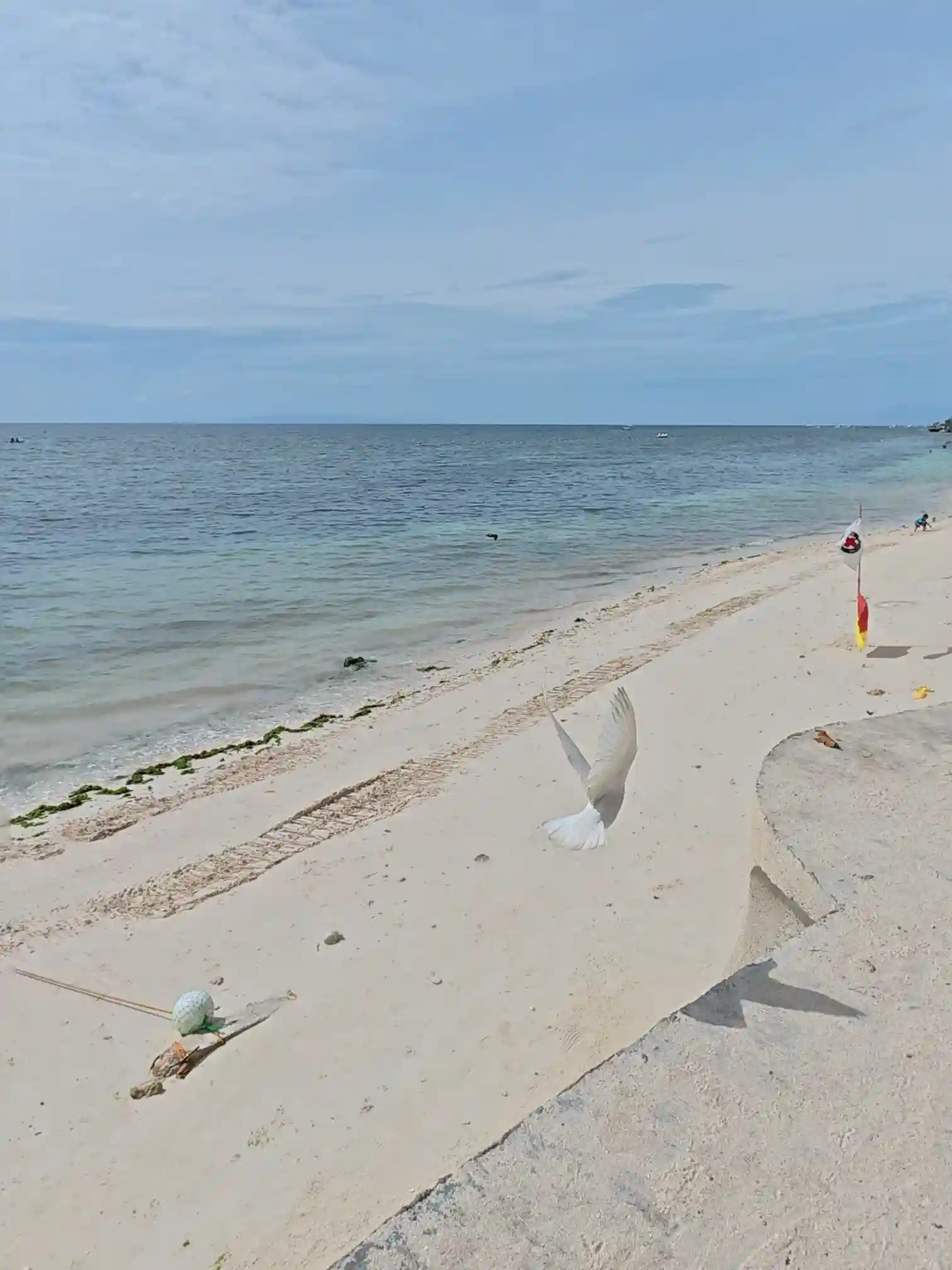 A curved concrete barrier along the white sand shore of Alona Beach in Panglao Bohol with shorebirds resting near the waterline