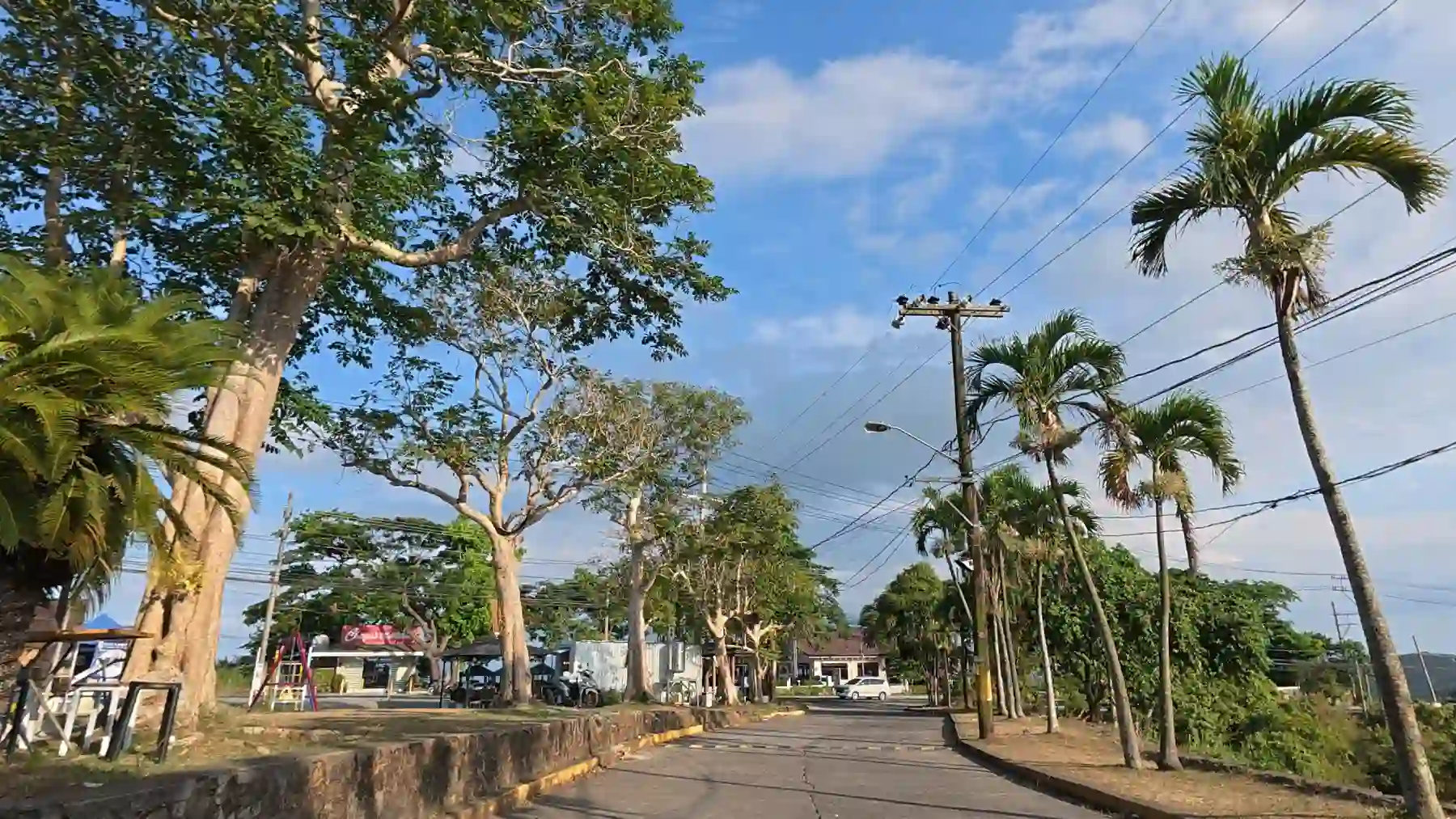 Tree-lined side street near Flatwhite Coffee with tall palm trees and roadside establishments in Cavite during late afternoon