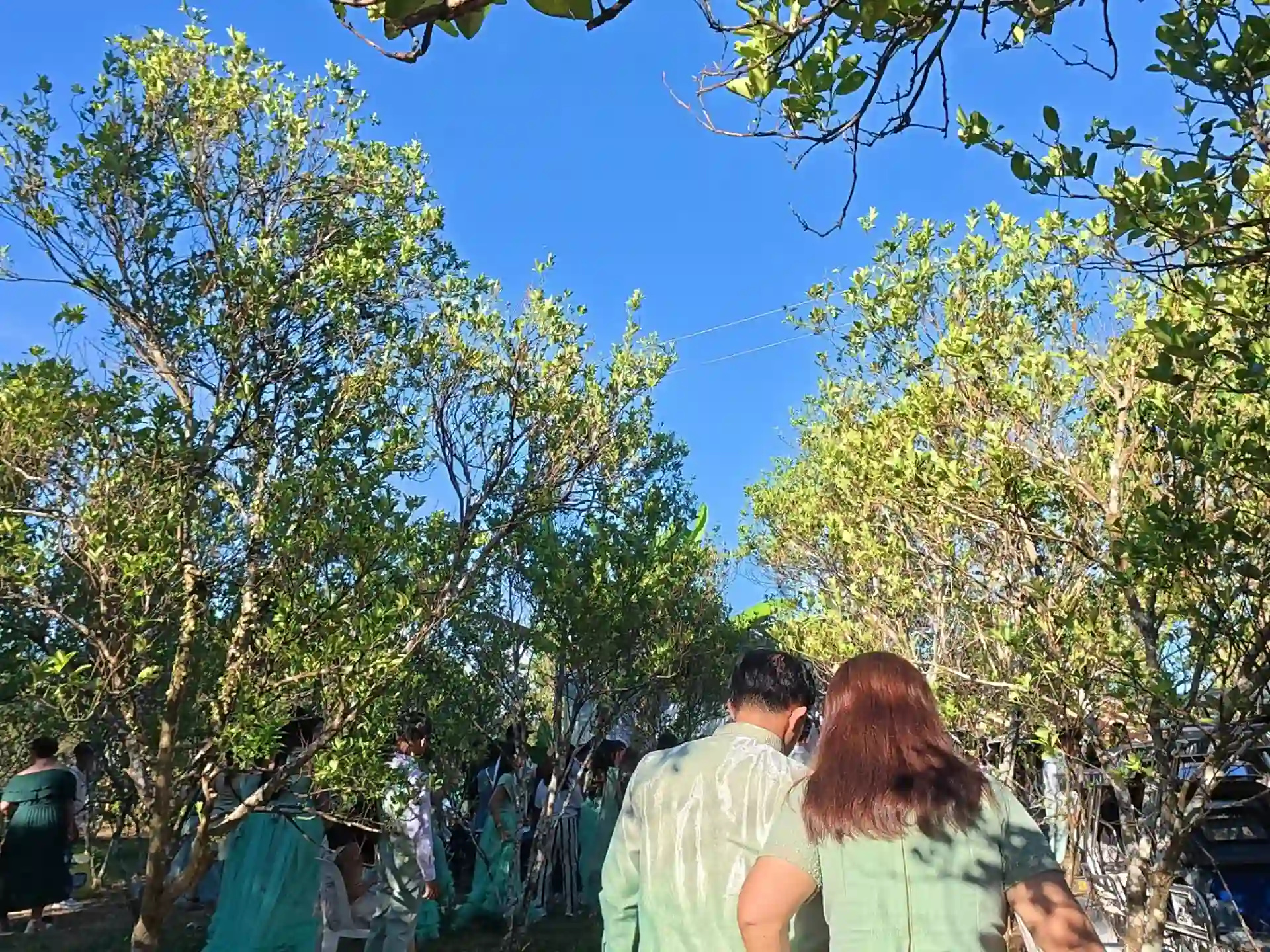 Wedding entourage in mint green attire gathering outdoors under trees in Socorro Oriental Mindoro before the reception program with the couple visible from behind