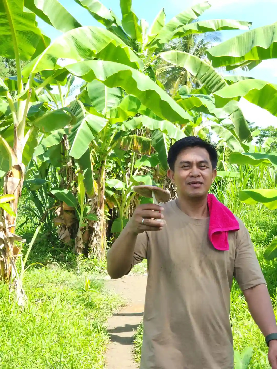 Nixon Atanoza holding a large wild mushroom on a narrow path lined with banana trees in Socorro Oriental Mindoro on the way back from Naujan Lake