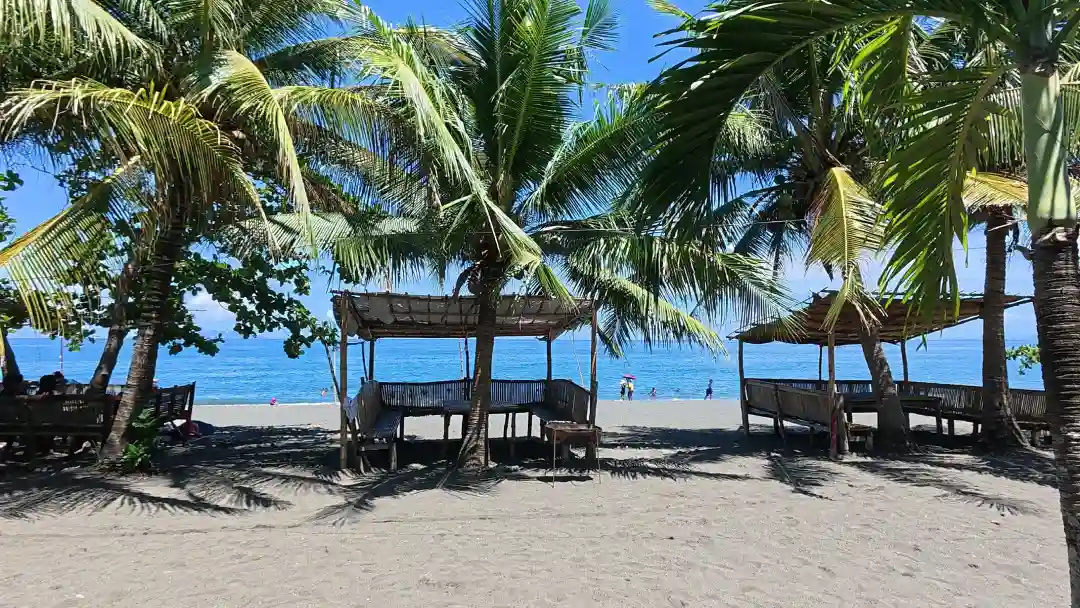 Open nipa roof cottages with bamboo bench seating under coconut palms facing the sea at Sunrise Beach Resort Pili Pinamalayan Oriental Mindoro
