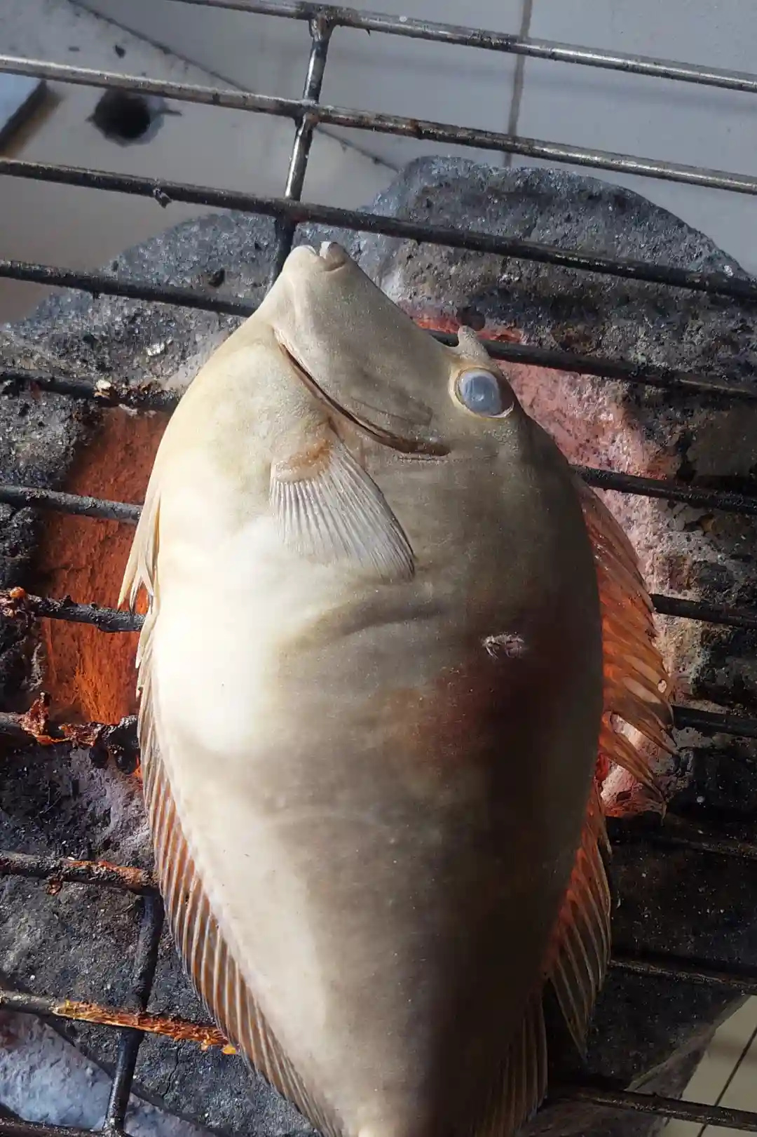 Whole fish grilling over hot charcoal coals at an outdoor kitchen in Jomalig Island