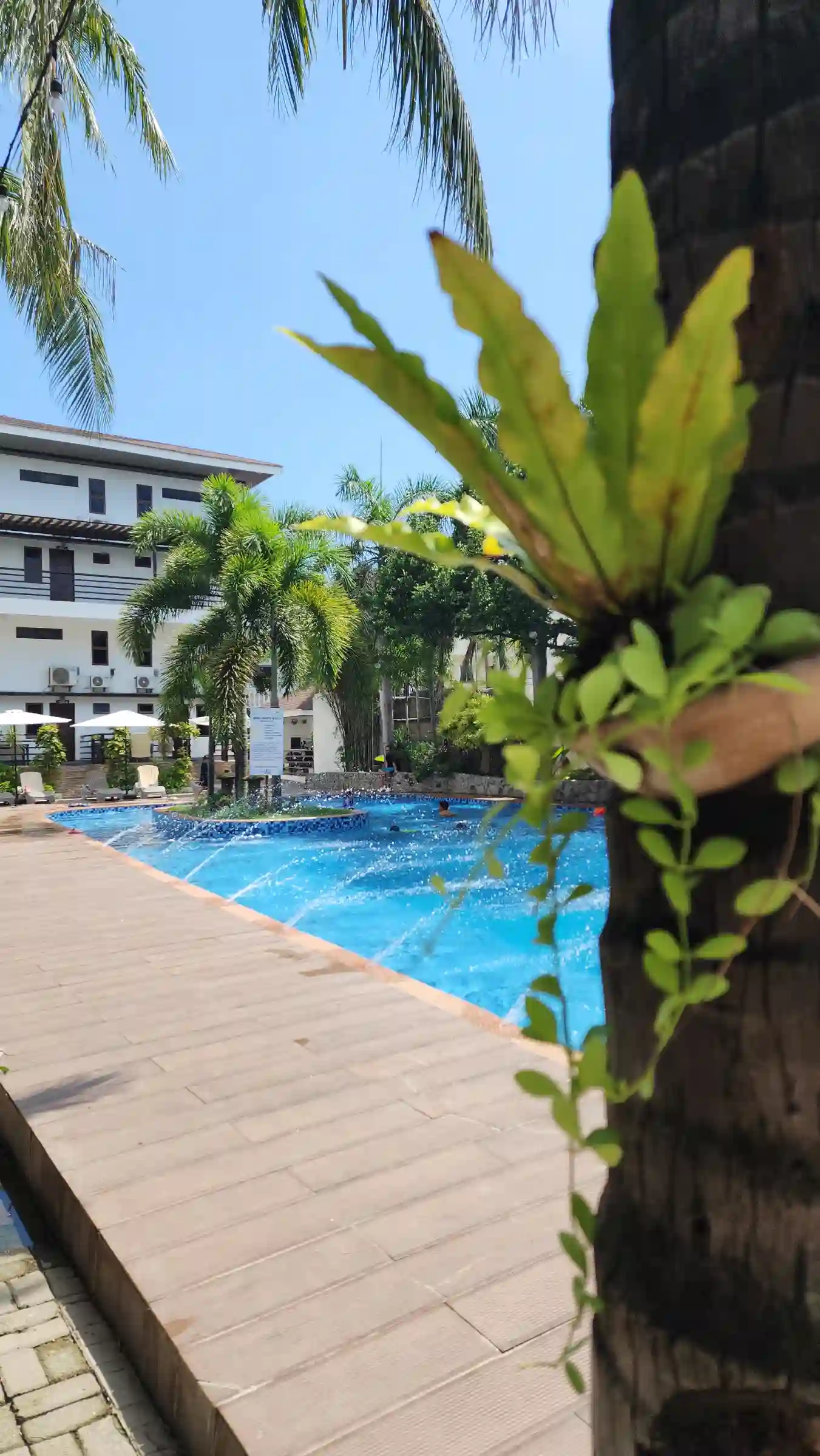 Bataan White Corals main swimming pool lined with palm trees and cabanas in Morong Bataan
