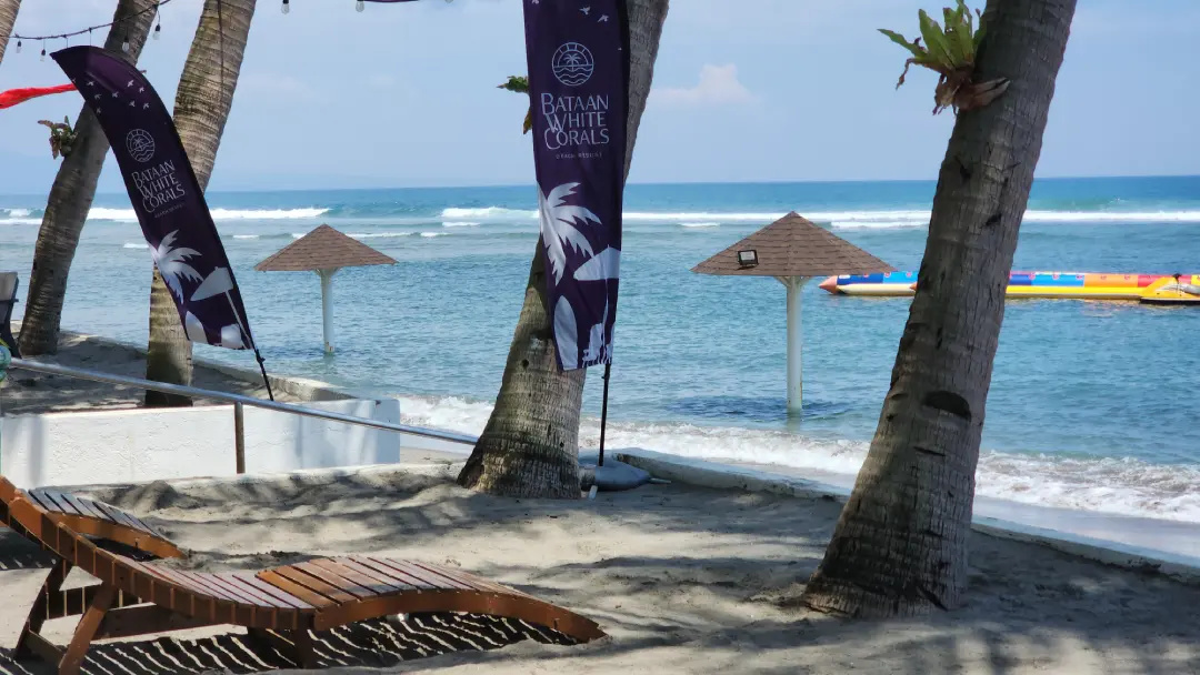 Wooden lounge chairs beneath a leaning palm facing the ocean at Bataan White Corals in Morong Bataan