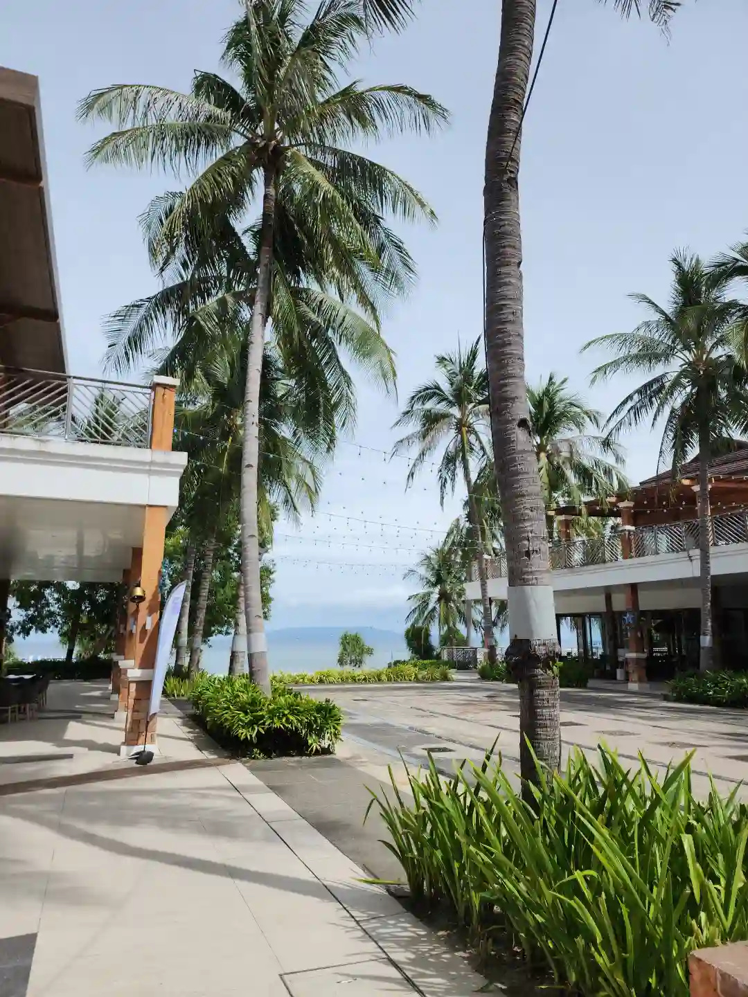 Palm lined walkway between shops at Moadto Strip with the open sea visible in the distance in Doljo, Panglao