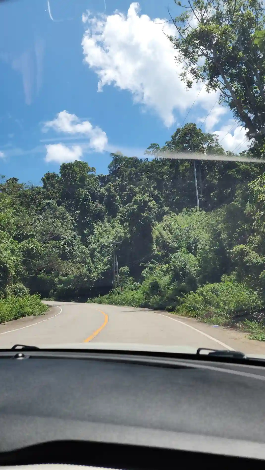 Winding paved road through dense forest with utility poles, part of the route to a beach in Morong, Bataan