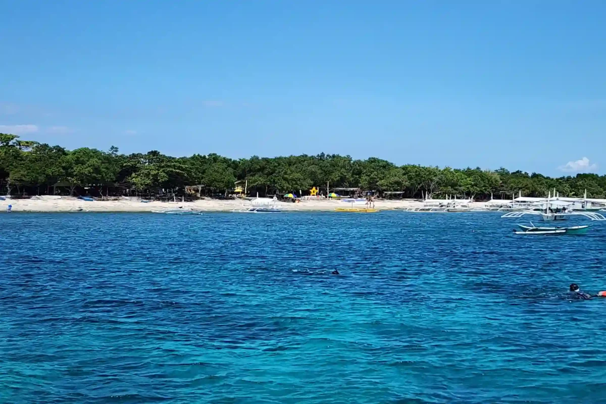 Balicasag Island Bohol Snorkeling with Sea Turtles from Panglao