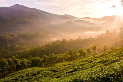 Kerala Package For 5 Nights M2TAK