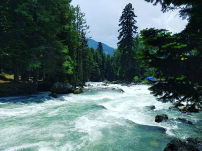 Norh India Relaxed Tour