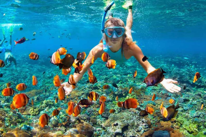 Scuba Diving in Andaman