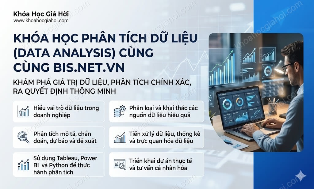 Khóa Học Phân Tích Dữ Liệu (Data Analysis) Cùng Bis.net.vn