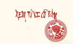 Khóa Học Xem Tử Vi Căn Bản