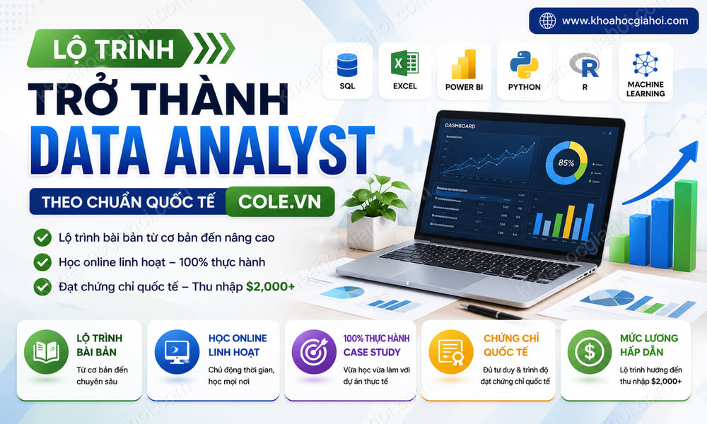 Lộ Trình Trở Thành Data Analyst Theo Chuẩn Quốc Tế Cole.vn