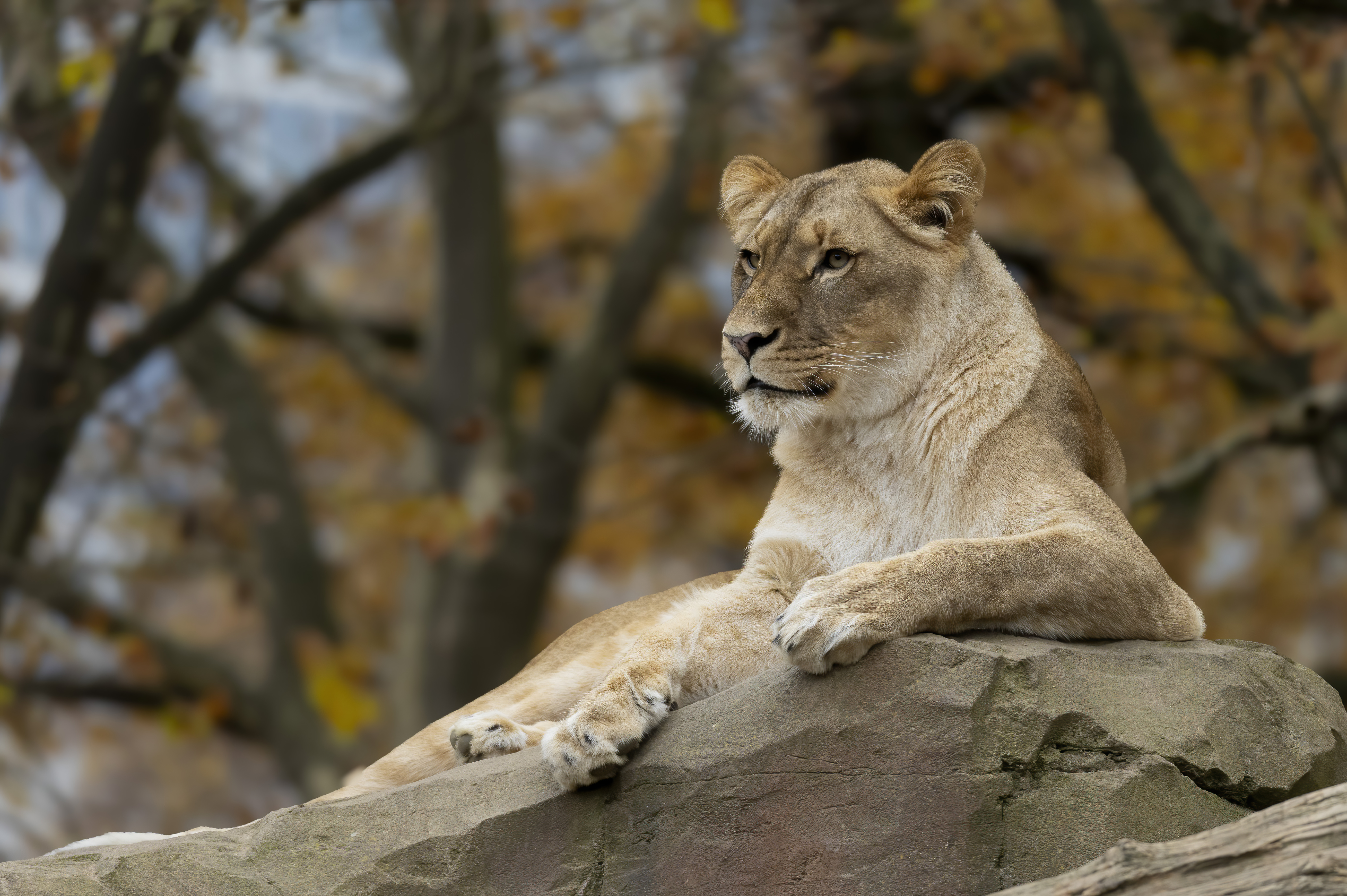 Zoo
