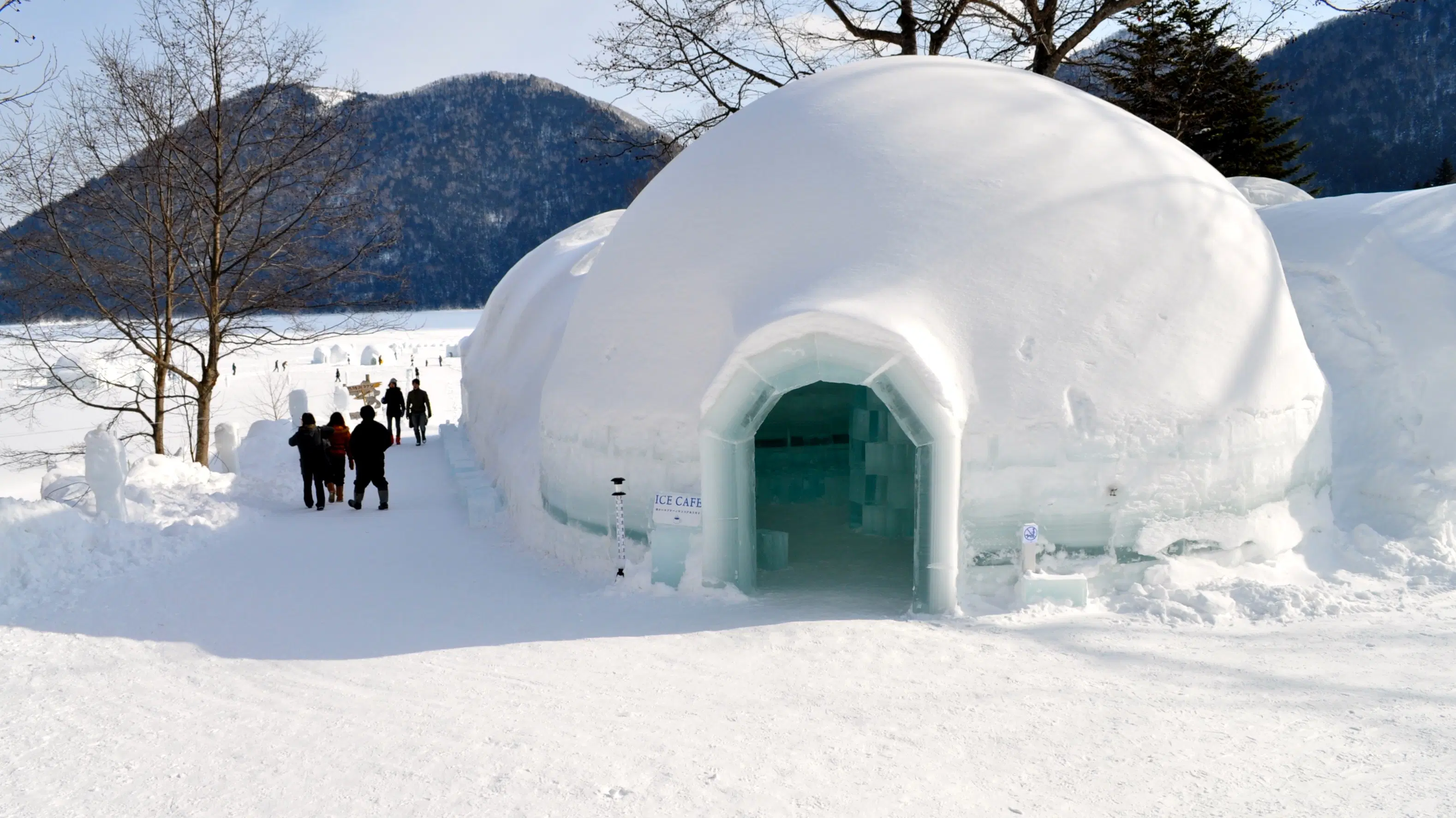 Image of Igloo Stay in Gulmarg
