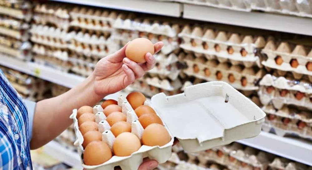 Preço dos ovos já apresenta alta de até 67% em algumas regiões
