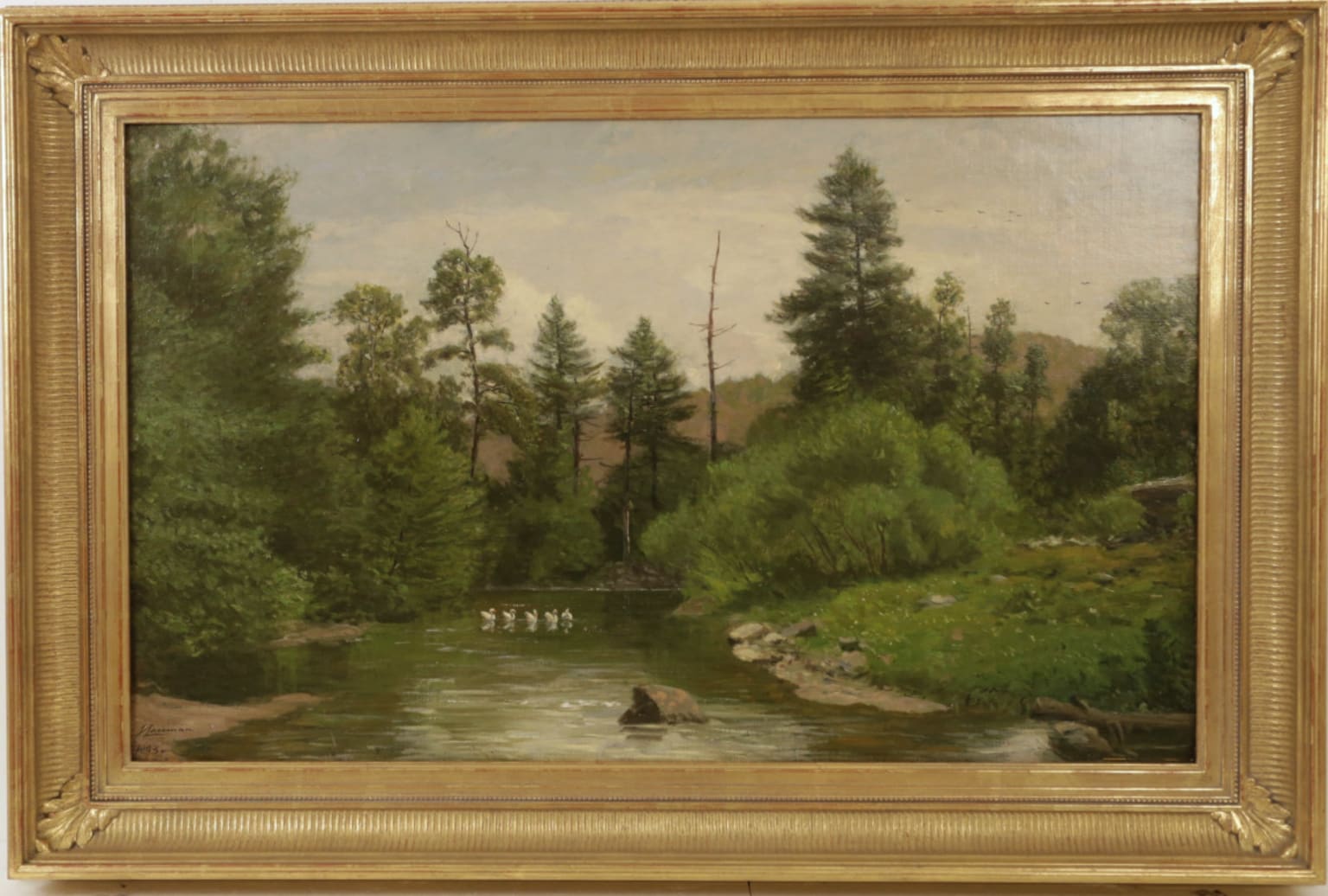 Jasper Lawnman Paintings - Special Day, Swans on the Creek