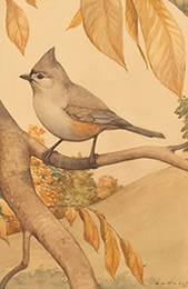 Earle Lincoln Poole - Titmouse   $3,900 
