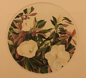 Michael Strueber – Magnolias   $1,800
