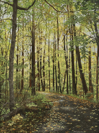 Marlene Wiedenbaum - Mohawk Preserve Path   $5,500 
