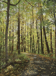 Marlene Wiedenbaum - Mohawk Preserve Path   $5,500 
