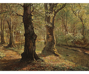 Peter Johan Voldemer Busch - Ancient Beeches