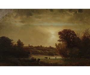George Nelson Cass - New Jersey Meadow 