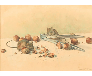 Andrien - Louis Bruneau - Mice 