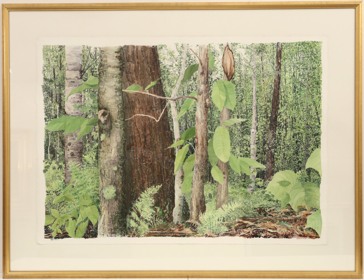 Michael Strueber (1945 - )