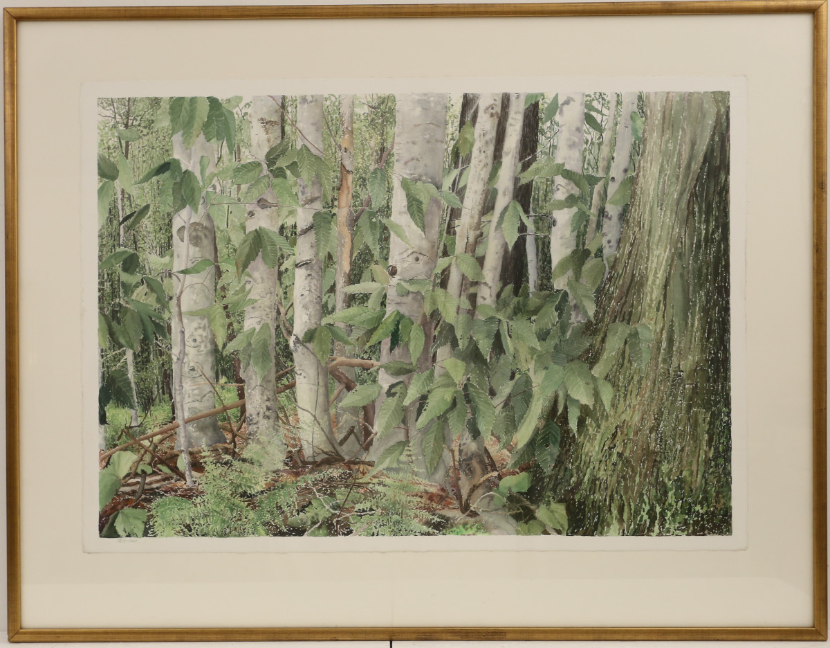 Michael Strueber (1945 - )
