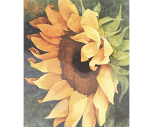 Alexis Lavine – A Gift of the Sun
