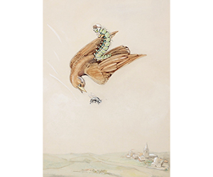 Kathleen Maude Harriet Debenham – Caterpillar on Wings
