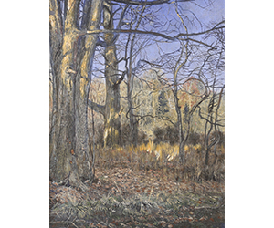 James C. Groves – Upper Georges Creek